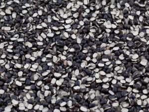 Urad Dal