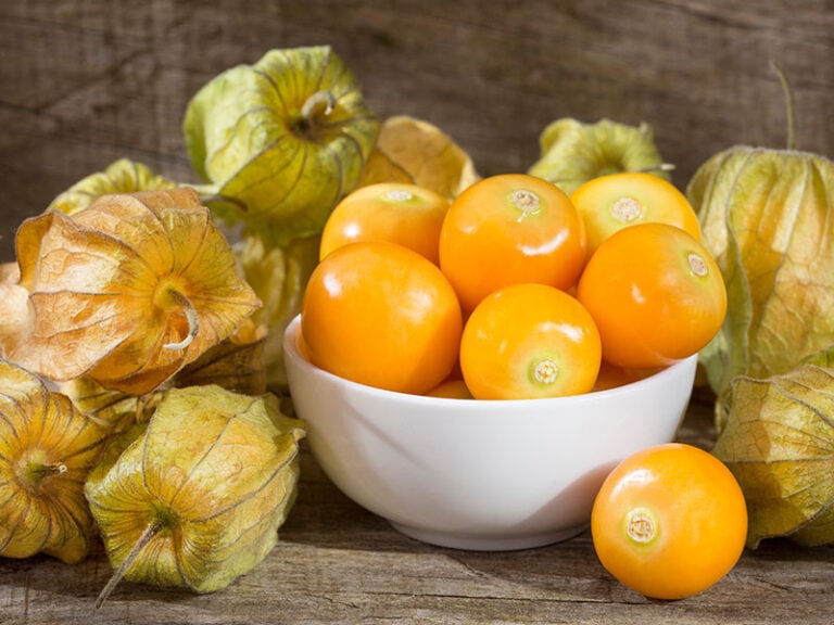 Uvilla Fruit
