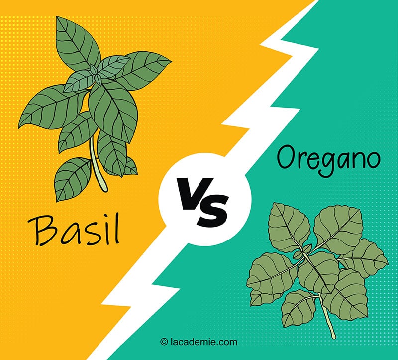 Basil And Oregano