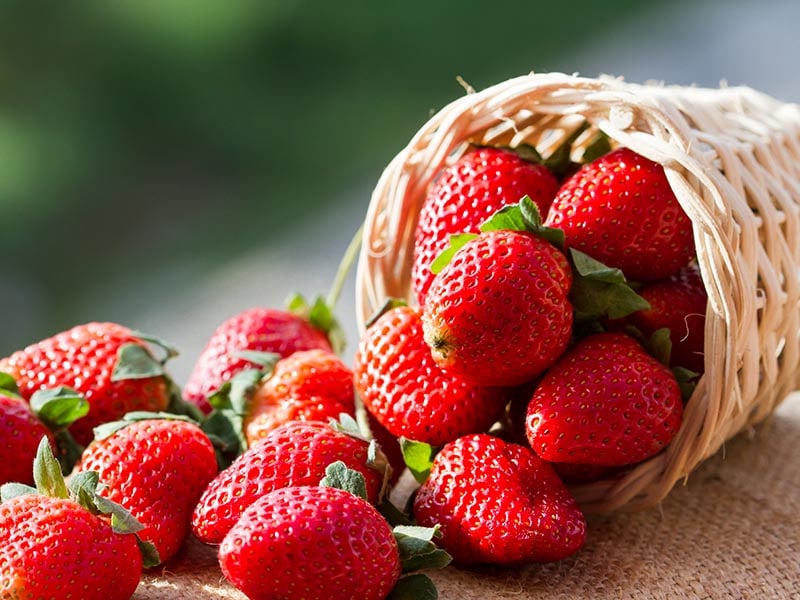 Strawberry Fruit