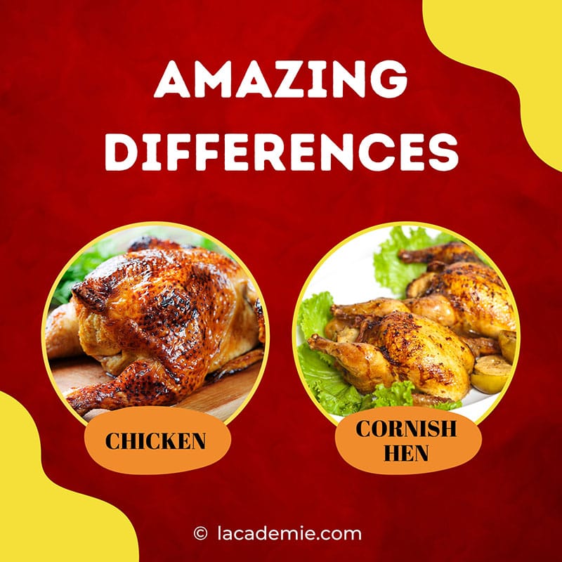 Cornish Hen And Chicken