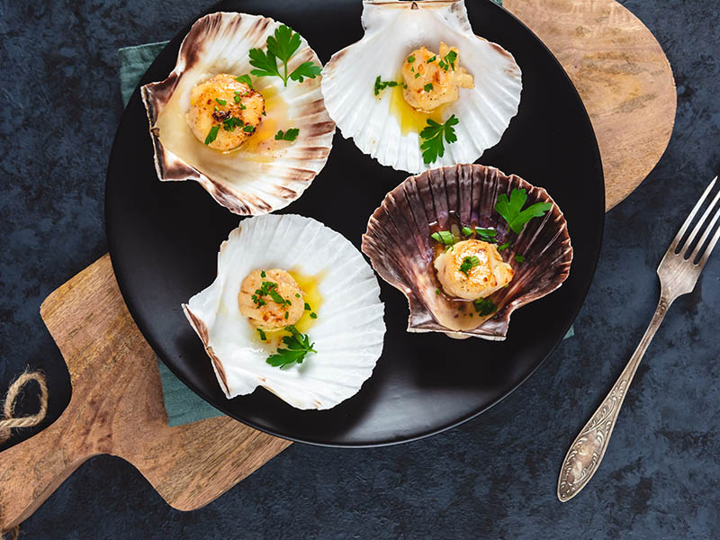 Scallop Seafood